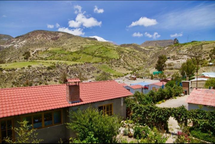 Hostal Vientos Del Altiplano Putre Ngoại thất bức ảnh