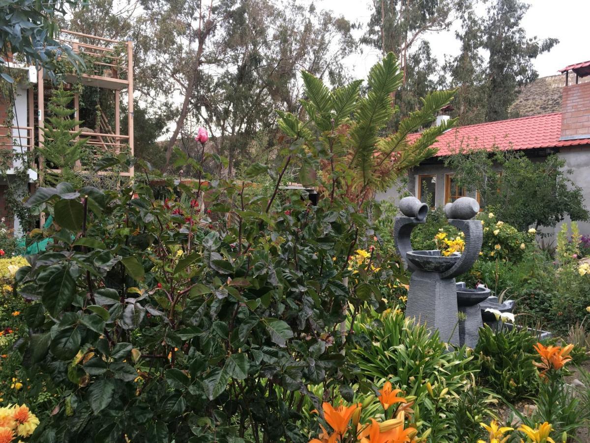 Hostal Vientos Del Altiplano Putre Ngoại thất bức ảnh